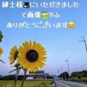 ヒメ日記 2025/07/29 23:16 投稿 あいす 熟女家 京橋店