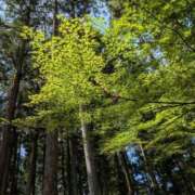 ヒメ日記 2025/08/16 23:06 投稿 あいす 熟女家 京橋店