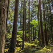 ヒメ日記 2025/08/17 12:26 投稿 あいす 熟女家 京橋店