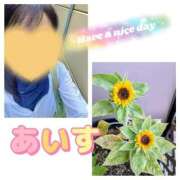 ヒメ日記 2025/09/03 11:13 投稿 あいす 熟女家 京橋店