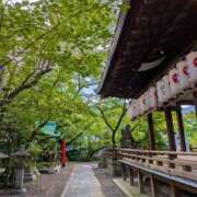 ヒメ日記 2025/09/19 07:36 投稿 あいす 熟女家 京橋店