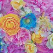 ヒメ日記 2025/10/03 15:27 投稿 あいす 熟女家 京橋店