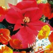 ヒメ日記 2025/11/07 20:55 投稿 あいす 熟女家 京橋店