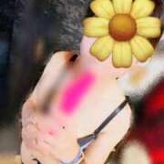 ヒメ日記 2025/12/10 15:00 投稿 あいす 熟女家 京橋店