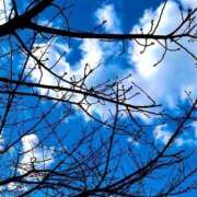 ヒメ日記 2026/02/22 12:31 投稿 あいす 熟女家 京橋店