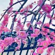 ヒメ日記 2026/02/24 19:06 投稿 あいす 熟女家 京橋店