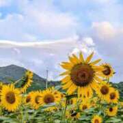 ヒメ日記 2026/03/05 00:36 投稿 あいす 熟女家 京橋店