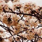 ヒメ日記 2026/03/20 19:26 投稿 あいす 熟女家 京橋店