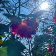 ヒメ日記 2026/03/21 17:06 投稿 あいす 熟女家 京橋店