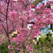 ヒメ日記 2026/03/28 16:06 投稿 あいす 熟女家 京橋店