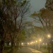 ヒメ日記 2026/04/02 00:06 投稿 あいす 熟女家 京橋店