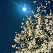 ヒメ日記 2026/04/04 13:59 投稿 あいす 熟女家 京橋店