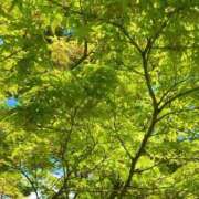 あいす 出勤します🍀 熟女家 京橋店