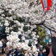 りんご お花見シーズンですね🌸🍶✨ 和風パブ大江戸