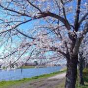 ヒメ日記 2025/04/04 21:11 投稿 ゆうな 若妻淫乱倶楽部　越谷店