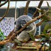 ヒメ日記 2026/02/22 20:09 投稿 ゆうな 若妻淫乱倶楽部