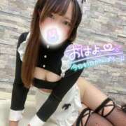 ヒメ日記 2025/03/24 07:17 投稿 みと 西船人妻花壇