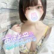 ヒメ日記 2025/03/30 09:11 投稿 みと 西船人妻花壇