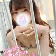 ヒメ日記 2025/03/31 15:02 投稿 みと 西船人妻花壇