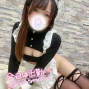 ヒメ日記 2025/05/28 17:15 投稿 みと 西船人妻花壇