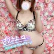 ヒメ日記 2025/07/15 08:06 投稿 みと 西船人妻花壇