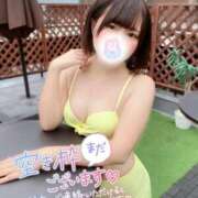 ヒメ日記 2025/08/13 12:47 投稿 みと 西船人妻花壇