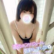 ヒメ日記 2025/08/16 22:23 投稿 みと 西船人妻花壇