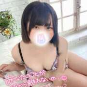 ヒメ日記 2025/08/19 13:11 投稿 みと 西船人妻花壇