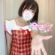 ヒメ日記 2025/08/20 16:35 投稿 みと 西船人妻花壇