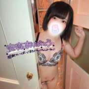 ヒメ日記 2025/08/24 22:28 投稿 みと 西船人妻花壇