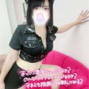 ヒメ日記 2025/09/02 09:32 投稿 みと 西船人妻花壇