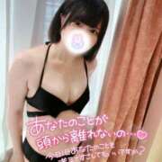 ヒメ日記 2025/09/07 09:36 投稿 みと 西船人妻花壇