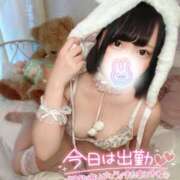 ヒメ日記 2025/09/13 09:36 投稿 みと 西船人妻花壇