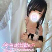 ヒメ日記 2025/09/17 09:33 投稿 みと 西船人妻花壇