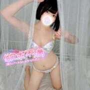 ヒメ日記 2025/09/21 15:35 投稿 みと 西船人妻花壇