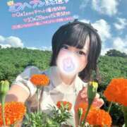 ヒメ日記 2025/09/24 16:20 投稿 みと 西船人妻花壇