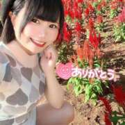 ヒメ日記 2025/09/24 19:59 投稿 みと 西船人妻花壇