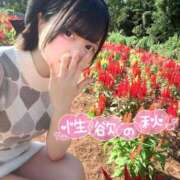 ヒメ日記 2025/10/01 12:05 投稿 みと 西船人妻花壇