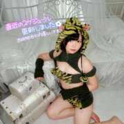 ヒメ日記 2025/10/23 14:31 投稿 みと 西船人妻花壇