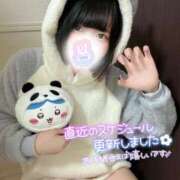 ヒメ日記 2025/10/24 11:35 投稿 みと 西船人妻花壇