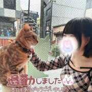 ヒメ日記 2025/11/02 13:56 投稿 みと 西船人妻花壇