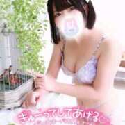 ヒメ日記 2025/11/15 10:22 投稿 みと 西船人妻花壇