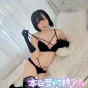 ヒメ日記 2025/11/20 13:45 投稿 みと 西船人妻花壇