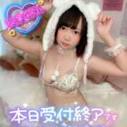 ヒメ日記 2025/11/24 15:10 投稿 みと 西船人妻花壇