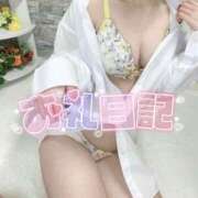 ヒメ日記 2025/11/25 19:23 投稿 みと 西船人妻花壇