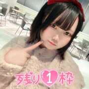 ヒメ日記 2025/11/29 12:28 投稿 みと 西船人妻花壇