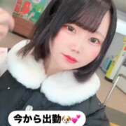 ヒメ日記 2025/12/02 10:04 投稿 みと 西船人妻花壇