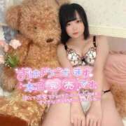 ヒメ日記 2025/12/07 08:12 投稿 みと 西船人妻花壇