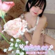 ヒメ日記 2025/12/09 17:20 投稿 みと 西船人妻花壇