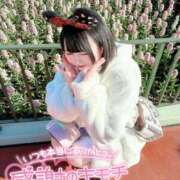 ヒメ日記 2026/02/07 13:58 投稿 みと 西船人妻花壇